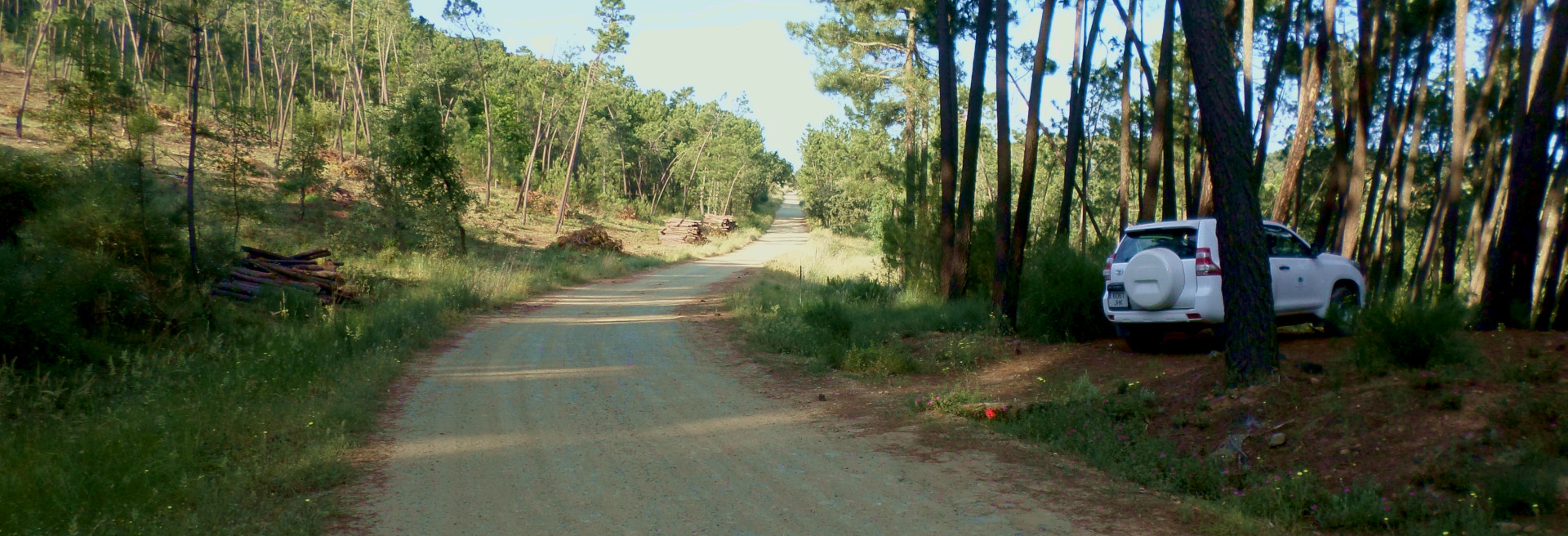 Actuaciones en el medio natural