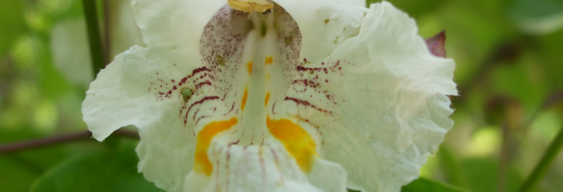 Jardinería y paisajismo