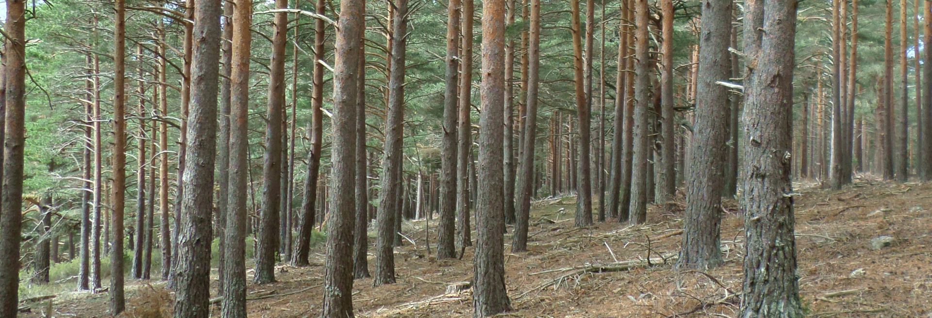 Valoraciones y tasaciones